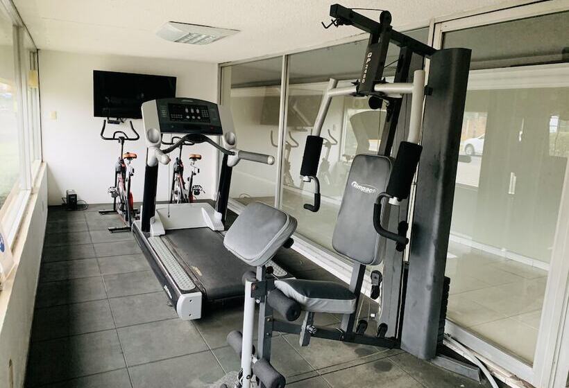 בית מלון כפרי Villa Florida Córdoba