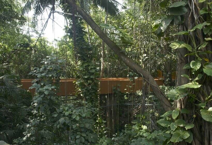 אתר נופש Las Brisas Ixtapa