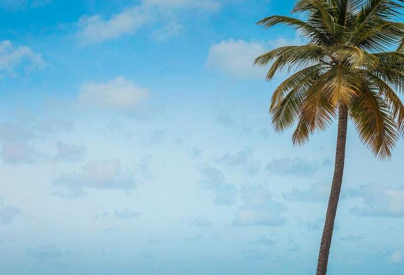 リゾートホテル One&only Reethi Rah