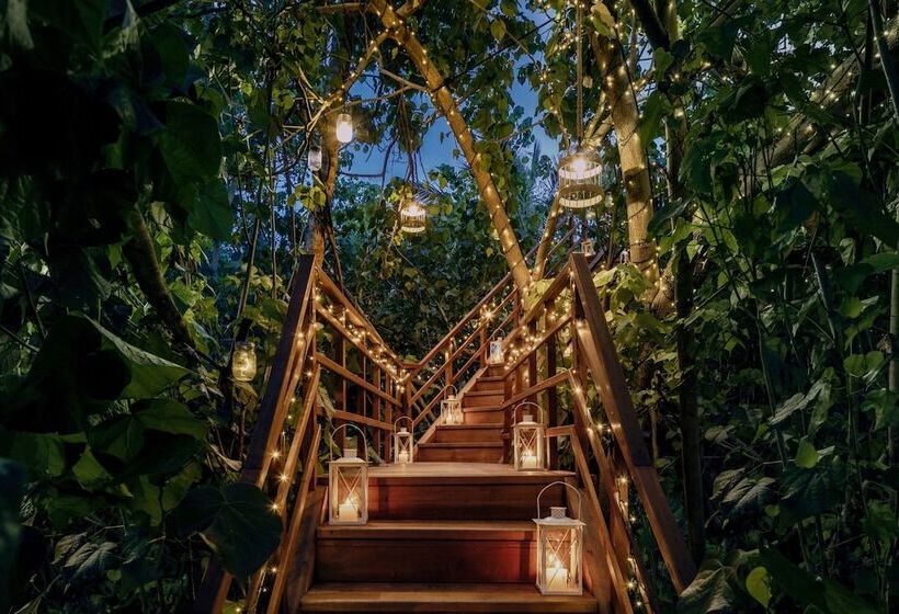 リゾートホテル One&only Reethi Rah