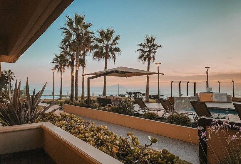 渡假胜地 Punta Morro