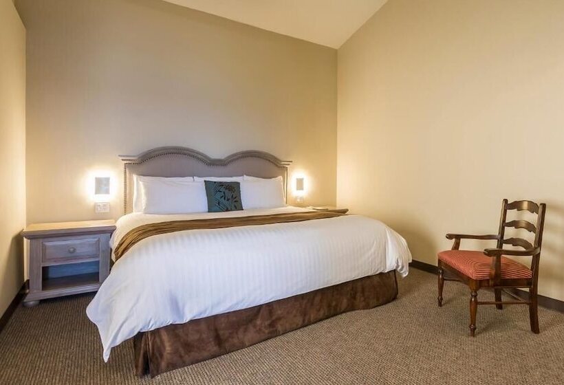 渡假胜地 Punta Morro