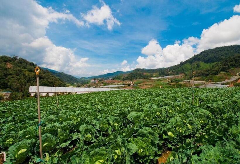 Strawberry Park Resort