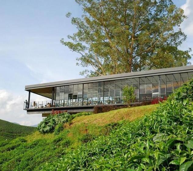 Strawberry Park Resort