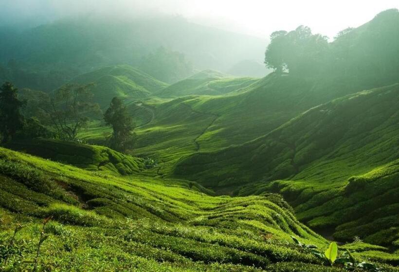 Strawberry Park Resort