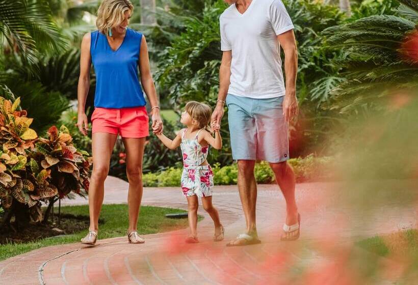 Velas Vallarta Suite Resort Allinclusive