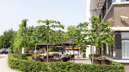 Amrâth Motel Maarsbergen