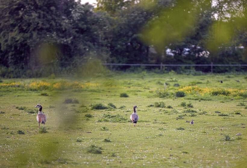 Romantik Badhotel Renesse