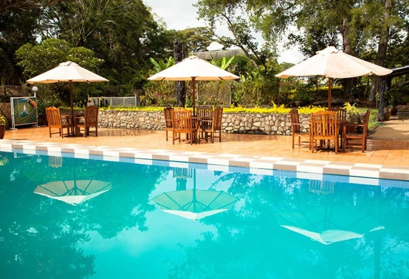 Bird Of Paradise Hotel & Apartments