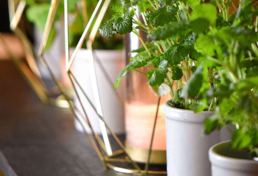 Clarion Collection Hotel Grand Bodø