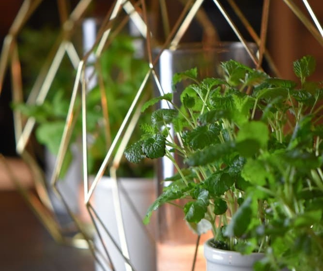 Clarion Collection Hotel Grand Bodø