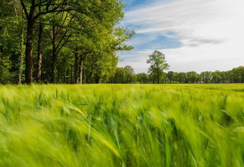 فندق De Lindeboom