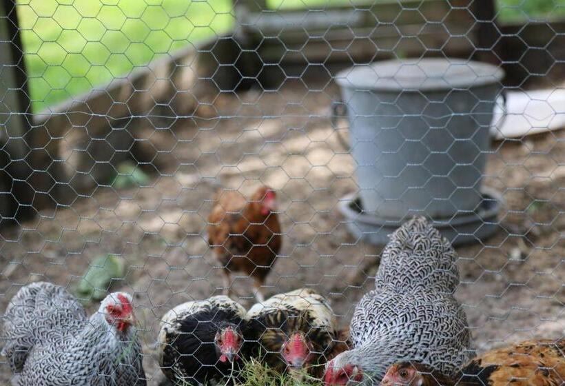 فندق De Lindeboom