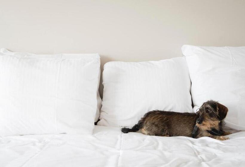 בית מלון כפרי De Milliano