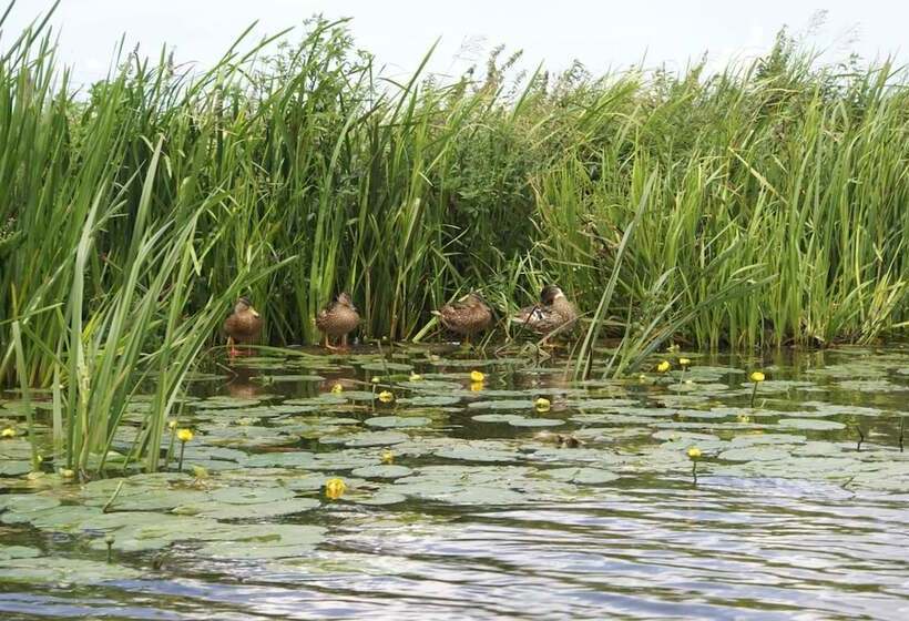 ホテル De Oude Schouw