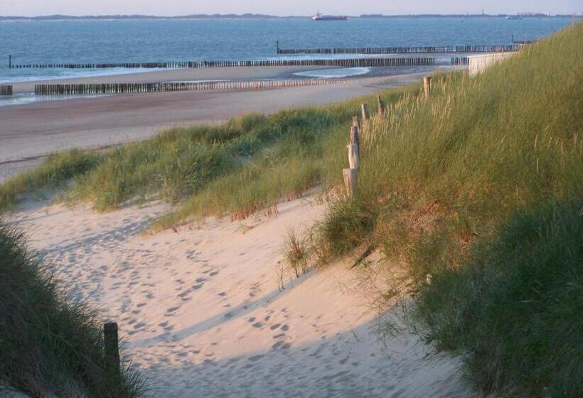 Отель De Schelde