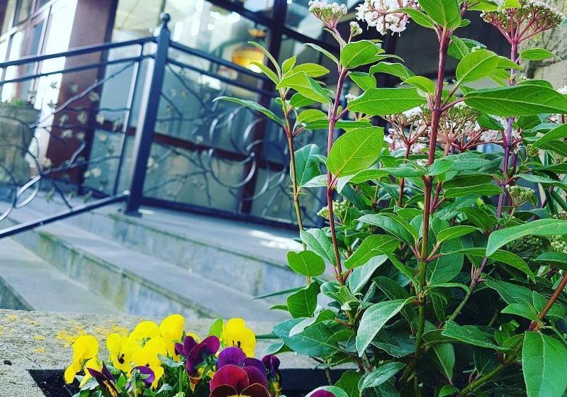 Отель Den Helder