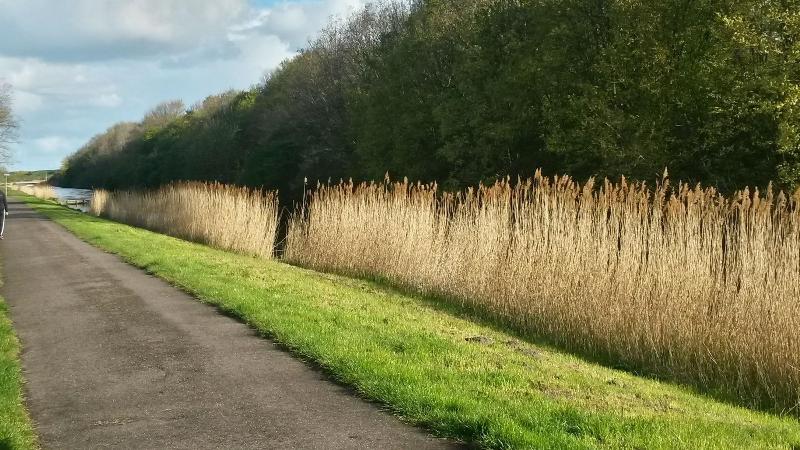Отель Den Helder