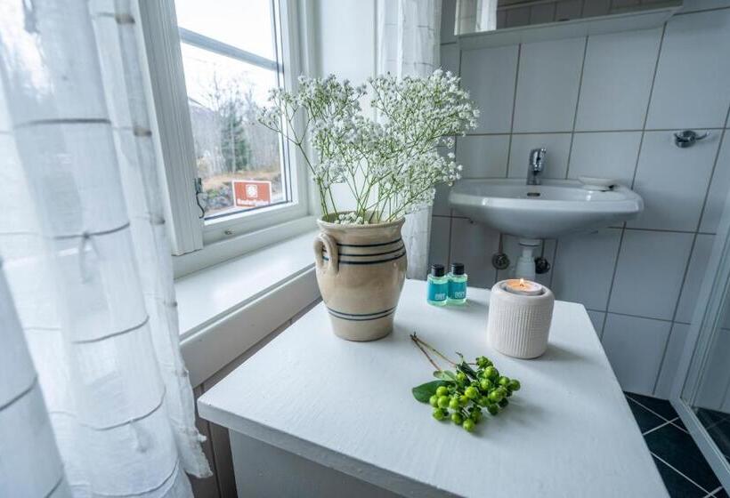 בית מלון כפרי Dragsvik Fjord