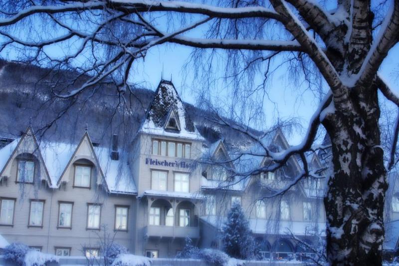 Отель Fleischer S