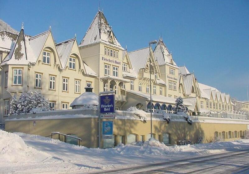 Отель Fleischer S