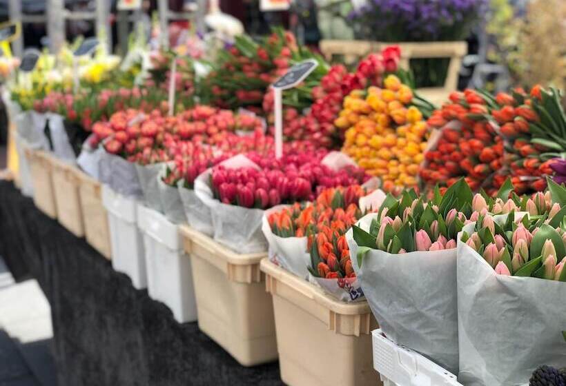 Отель Hilton Amsterdam