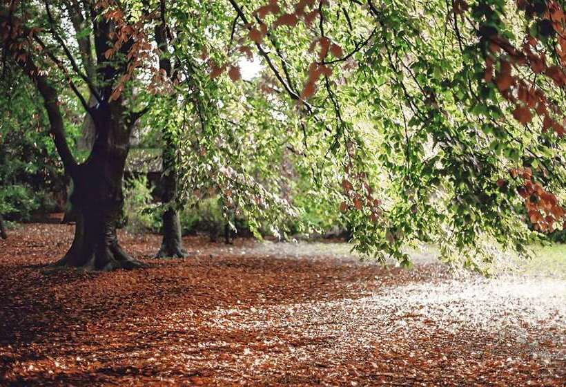 Отель Hilton Rotterdam