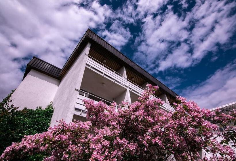 בית מלון כפרי Kringsjå