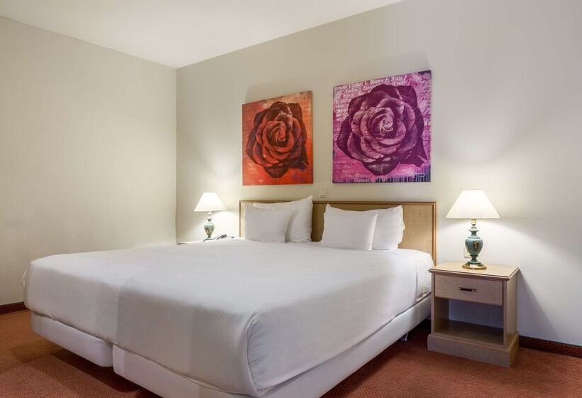 酒店 NH Atlanta Rotterdam