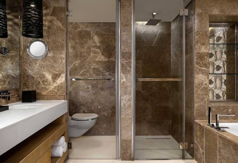 酒店 Sheraton Lagos