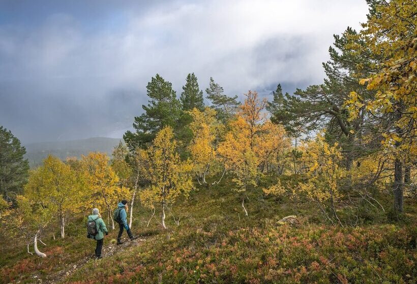 Vesterland Feriepark Hytter, Hotell Og Leikeland