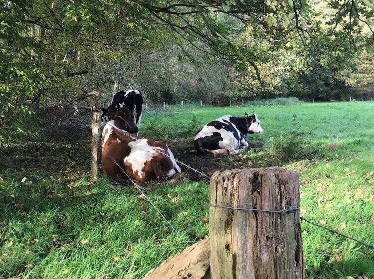 酒店 Wapen Van Delden