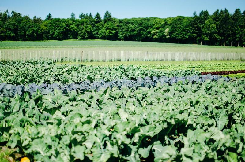 مُتل Van Der Valk Hotel Apeldoorn   De Cantharel