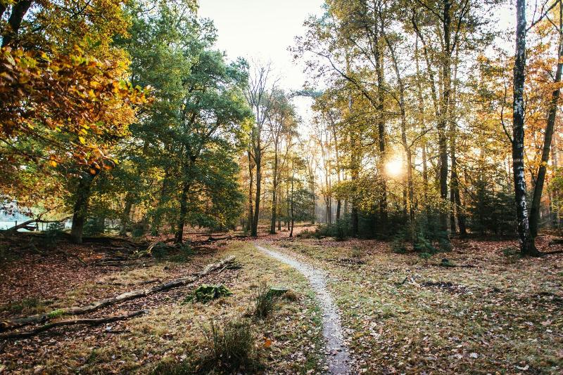 مُتل Van Der Valk Hotel Apeldoorn   De Cantharel