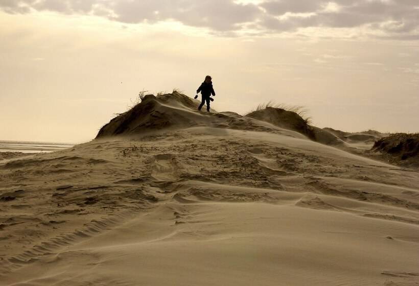 Paal 8 Hotel Aan Zee