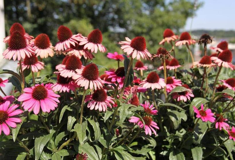 Parkhotel Valkenburg