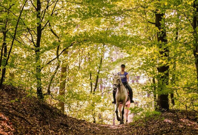 Relais & Chateaux Hotel Landgoed Het Roode Koper