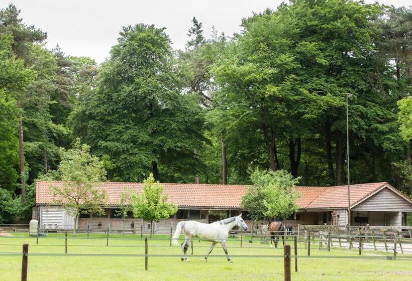 Relais & Chateaux Hotel Landgoed Het Roode Koper
