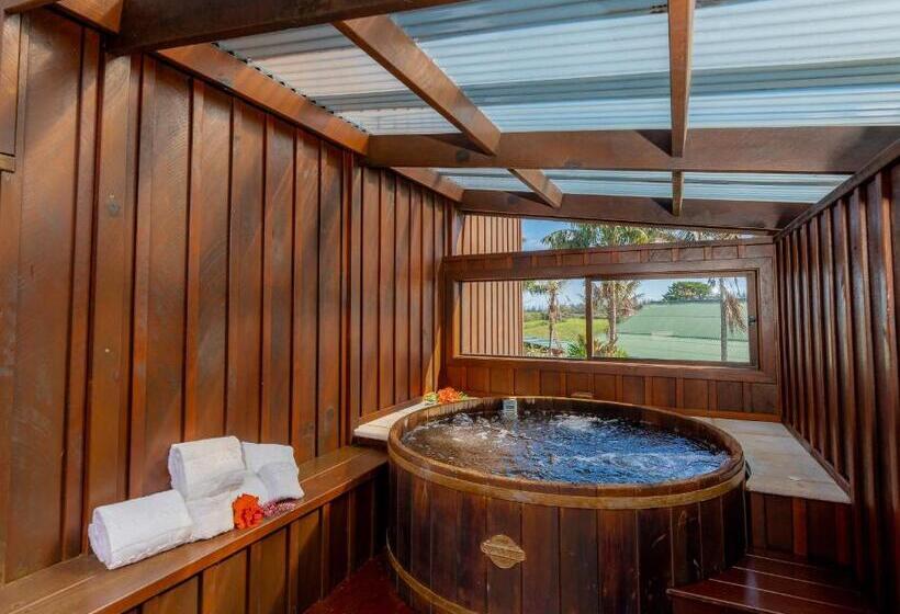 South Pacific Resort