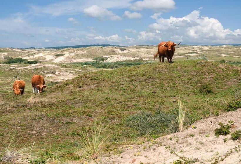 Strandhotel De Vassy