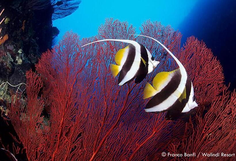 Walindi Plantation Resort