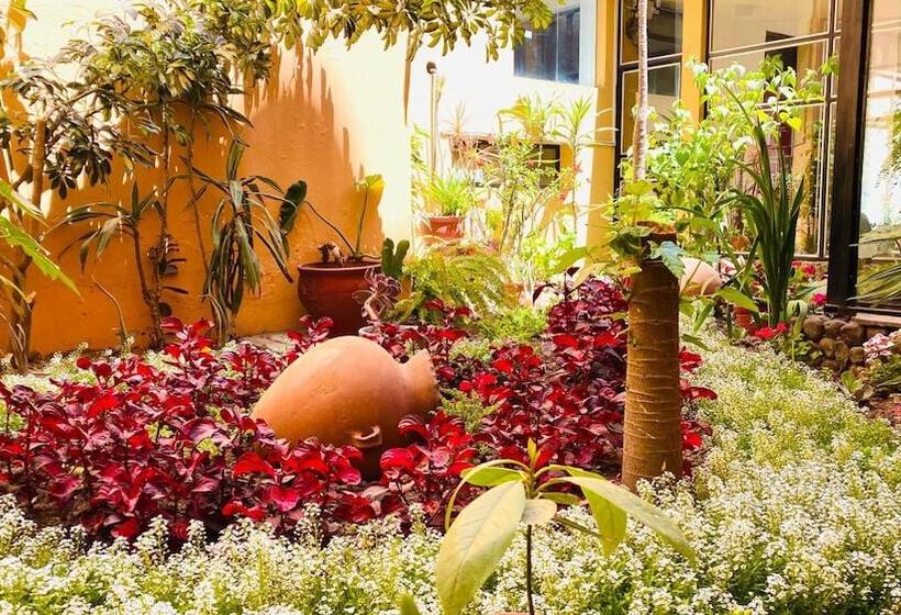 Arequipa Inn