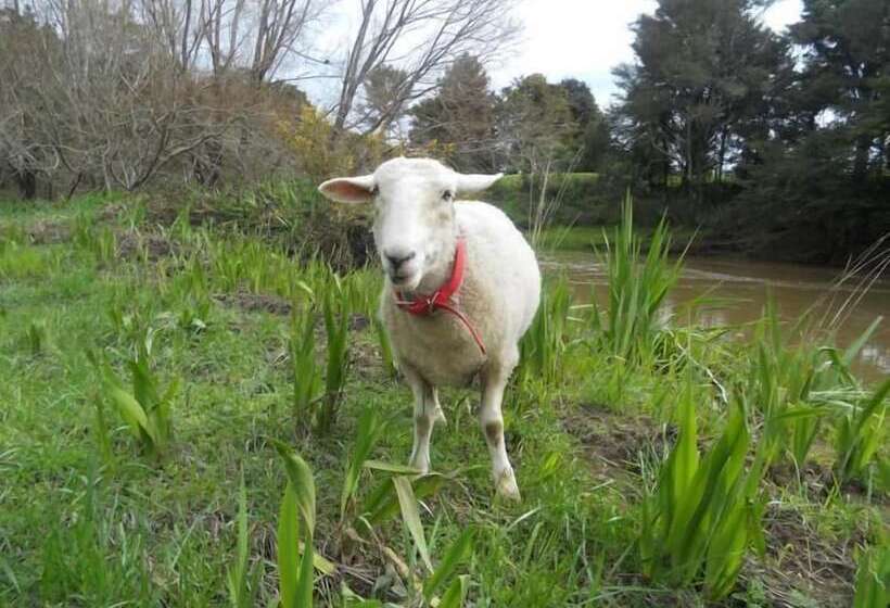 Bay Of Islands Country Lodge Motel