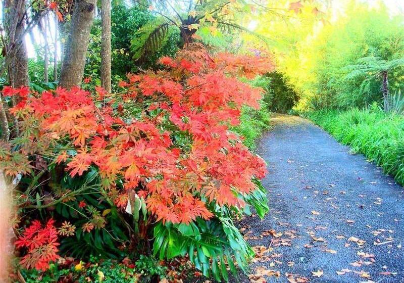 Colonial House Motel