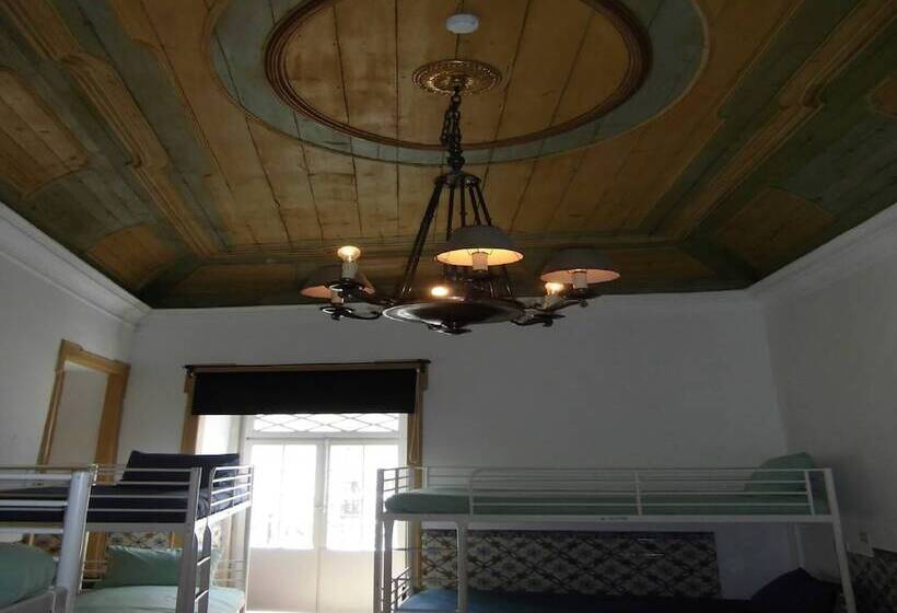 Hostel The White Butterfly