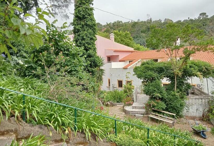 בית מלון כפרי Albergaria Do Lageado