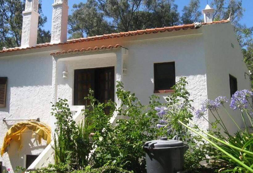 בית מלון כפרי Albergaria Do Lageado