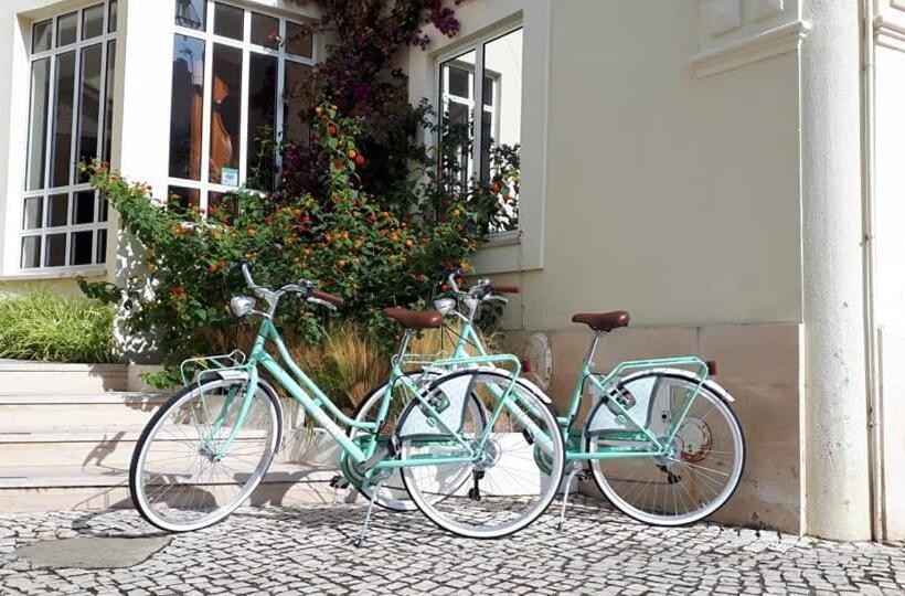 בית מלון כפרי Albergaria Sao Pedro