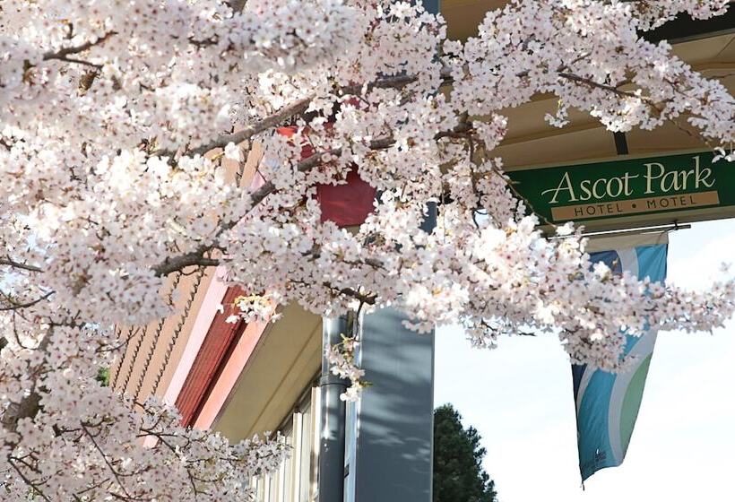 هتل Ascot Park