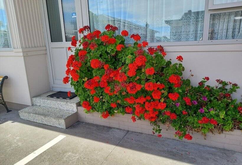 Comfort Inn Tayesta Motel